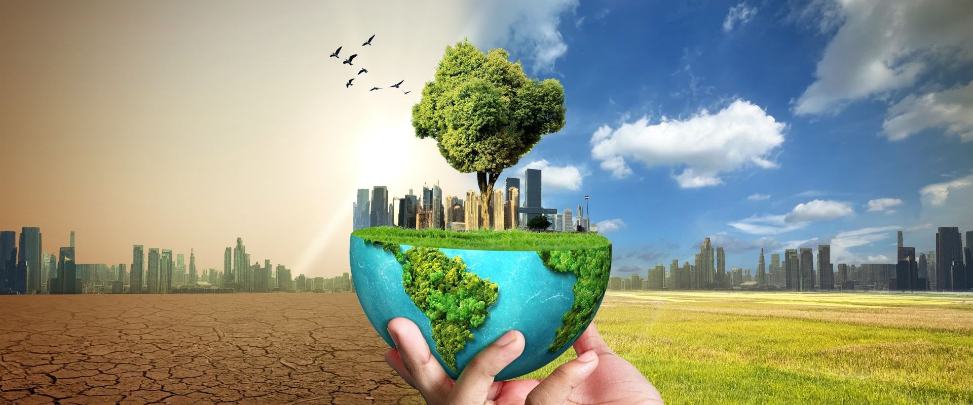 Schimbările climatice afectează chiar și stră-strănepoții. Un studiu șocant