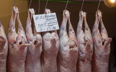 Amenzi record: 6,3 milioane de euro pentru comercianții de miel și restaurante