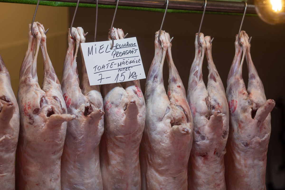 Amenzi record: 6,3 milioane de euro pentru comercianții de miel și restaurante