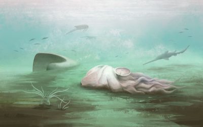 Fosila misterioasă: Nu e caracatiță, spun experții după scanări!