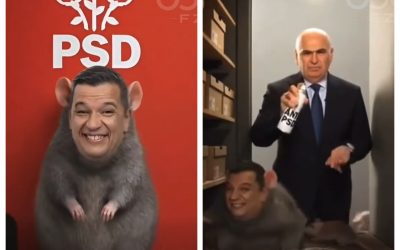 Hărțuire gravă: Actul agresiv cere sancțiuni legale pentru victime