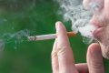 Fumatul, inamicul ascuns: Legătura ȘOCANTĂ dintre nicotină, plămâni și creier