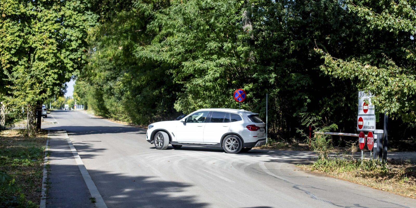 Închiderea drumului din Pădurea Băneasa: Federația Greenfield sfidează măsura