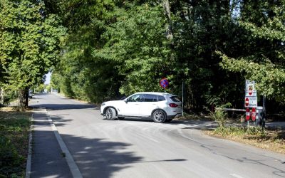 Închiderea drumului din Pădurea Băneasa: Federația Greenfield sfidează măsura