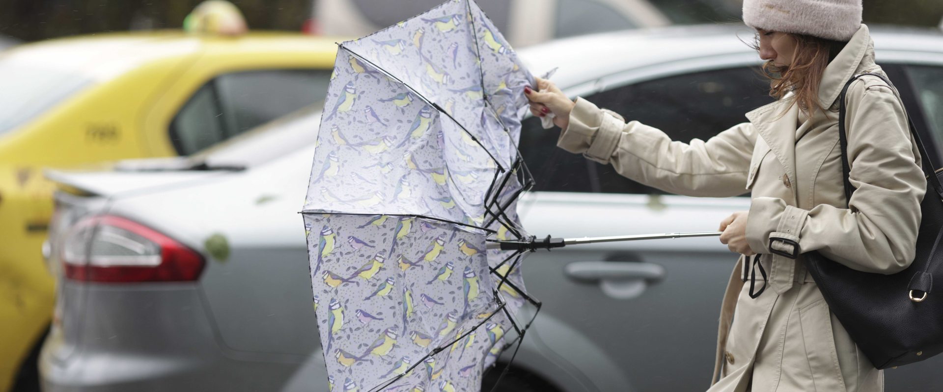 Alertă meteo: Ploi torențiale, vânt puternic și ninsoare în toată România. Cum va fi în București?