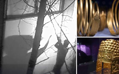 Aflați ce au vrut hoții din Olanda să fure: Planuri secrete dezvăluite!