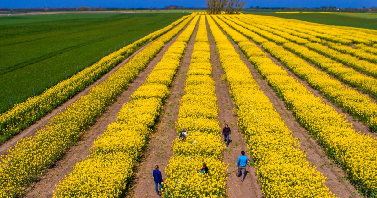 SUA-Iran: Criza inflamează prețurile, România nu riscă penurie, zice CEZAR GHEORGHE