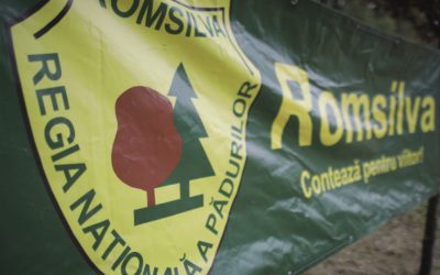 Silva protestează la Guvern: „Reformele” actuale ne-au ruinat