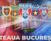 Negocieri incendiare pentru Steaua: Două firme din Turcia, în ghencea