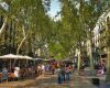 La Rambla, Barcelona: Terasele intră în „Zonă de Excelență”