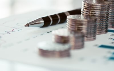 Ministrul Economiei, reacție după ce FMI taie prognoza: „Sunt lucruri…”