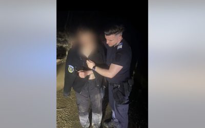 Fugă de urs: Tânăr abandonând motocicletă, salvat de jandarmi în România