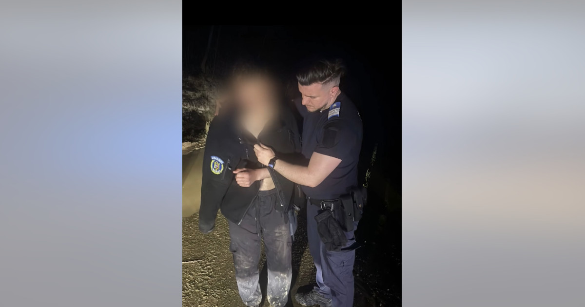 Fugă de urs: Tânăr abandonând motocicletă, salvat de jandarmi în România