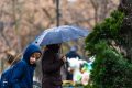 Urmează o săptămână ploioasă în toată ţara. Cum va fi vremea de 1 Mai