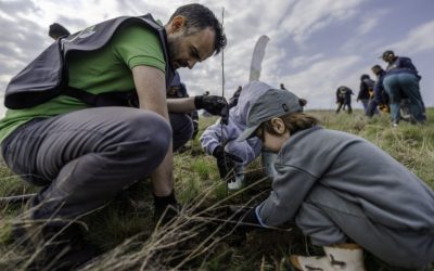 OSCAR Downstream și Pădurea Copiilor, extind împădurirea de la Sinești cu 3 hectare
