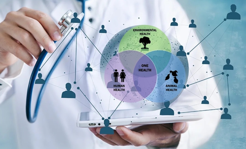 CieH și Ziarul Lumina fac echipă pentru educație medicală