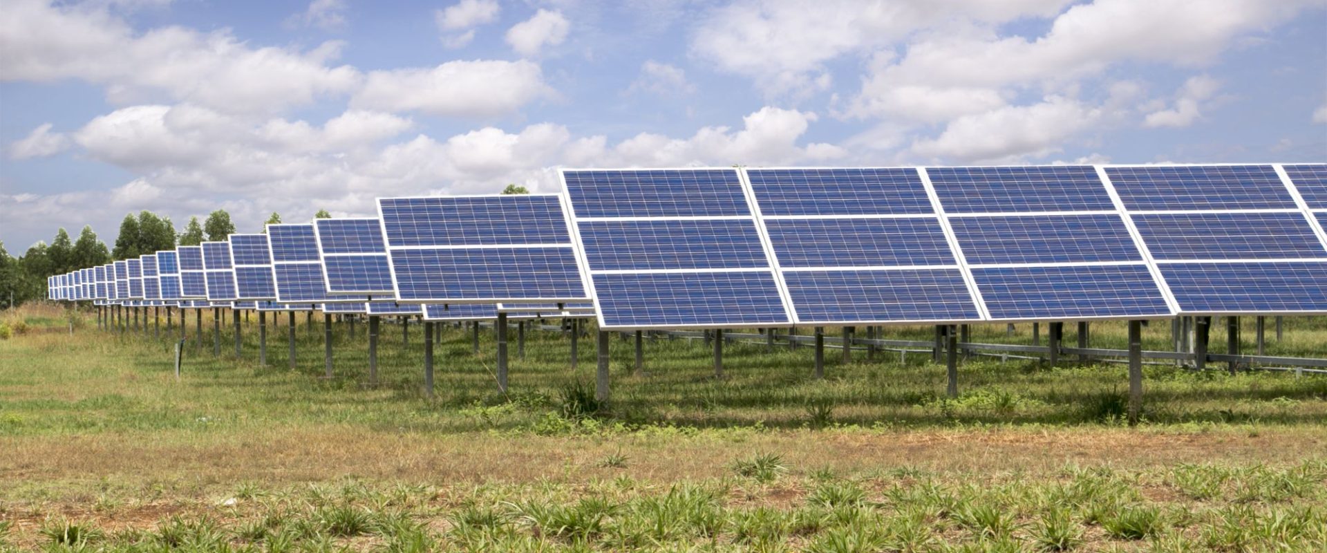 Nou investitor în România: Cea mai mare afacere a sa debutează aici