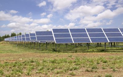 Nou investitor în România: Cea mai mare afacere a sa debutează aici