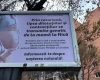 Cine finanțează afișele anti-cezariană din București | Scandalul Snoop