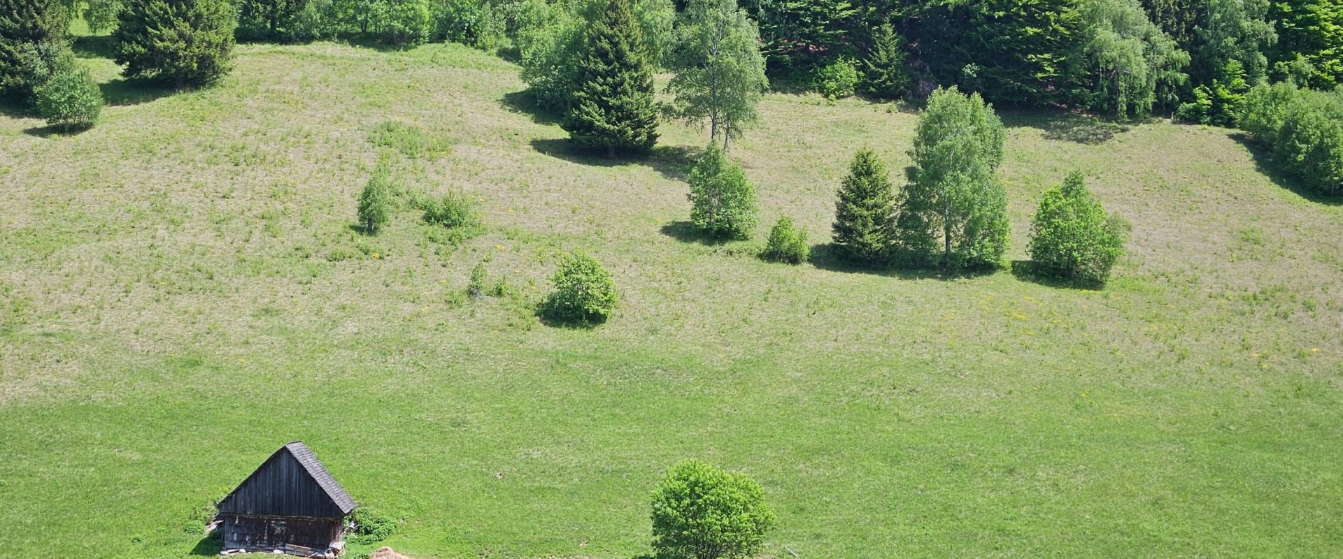 VREMEA: PROGNOZA pentru 14 zile în fiecare regiune a României