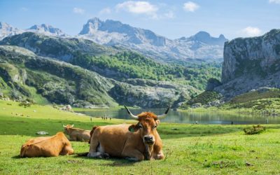 Localitatea din Europa, un colț uitat, desemnat cel mai frumos din lume