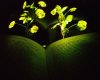 Plante luminoase, alternative la iluminatul stradal: Studiu revoluționar
