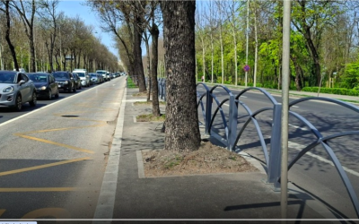 Bulevardul Regele Mihai I: Bandă unică pentru autobuze și stații noi