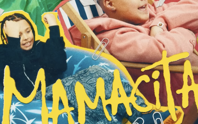 Noua melodie a „Fraților Velea” aprinde internetul: Experții trag semnale de alarmă