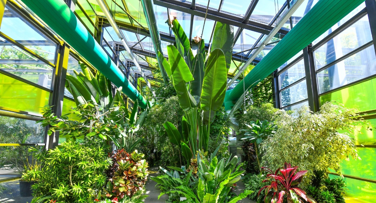 Program de Paște la Serele Exotice din Parcul Drumul Taberei: Ce poți vizita