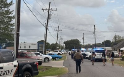 Driver in custody, accused of hitting parade crowd at La. Lao New Year Festival