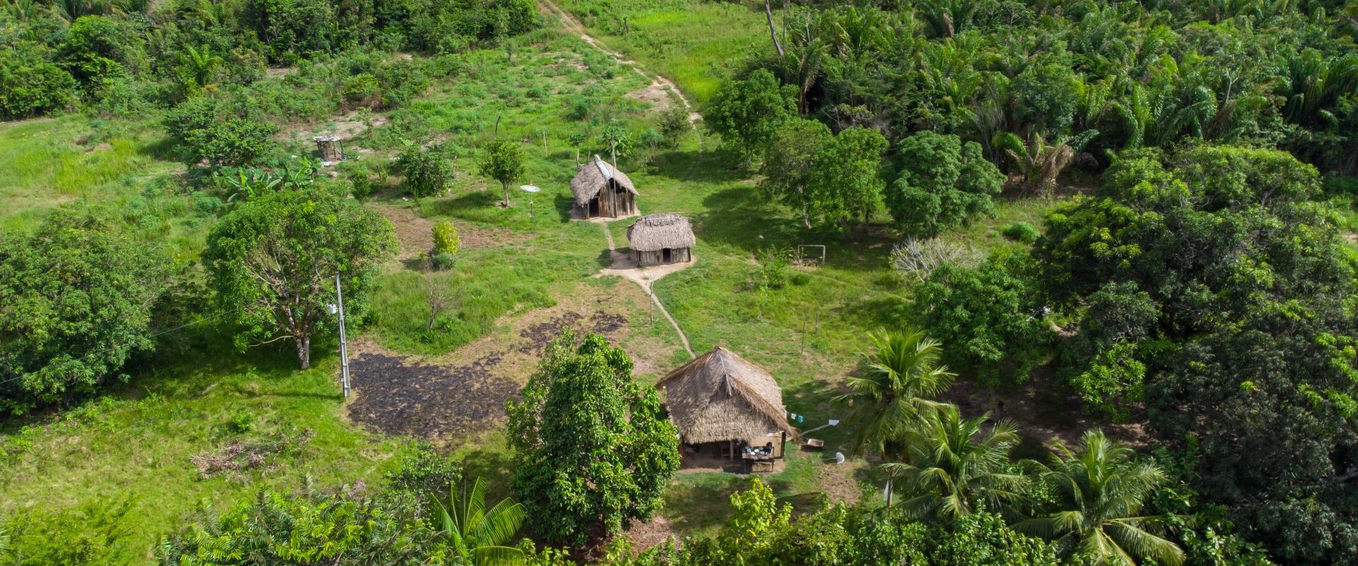 Drumuri antice, vechi de 2.700 ani, revelate în inima Amazonului