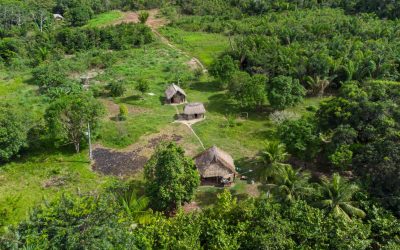 Drumuri antice, vechi de 2.700 ani, revelate în inima Amazonului