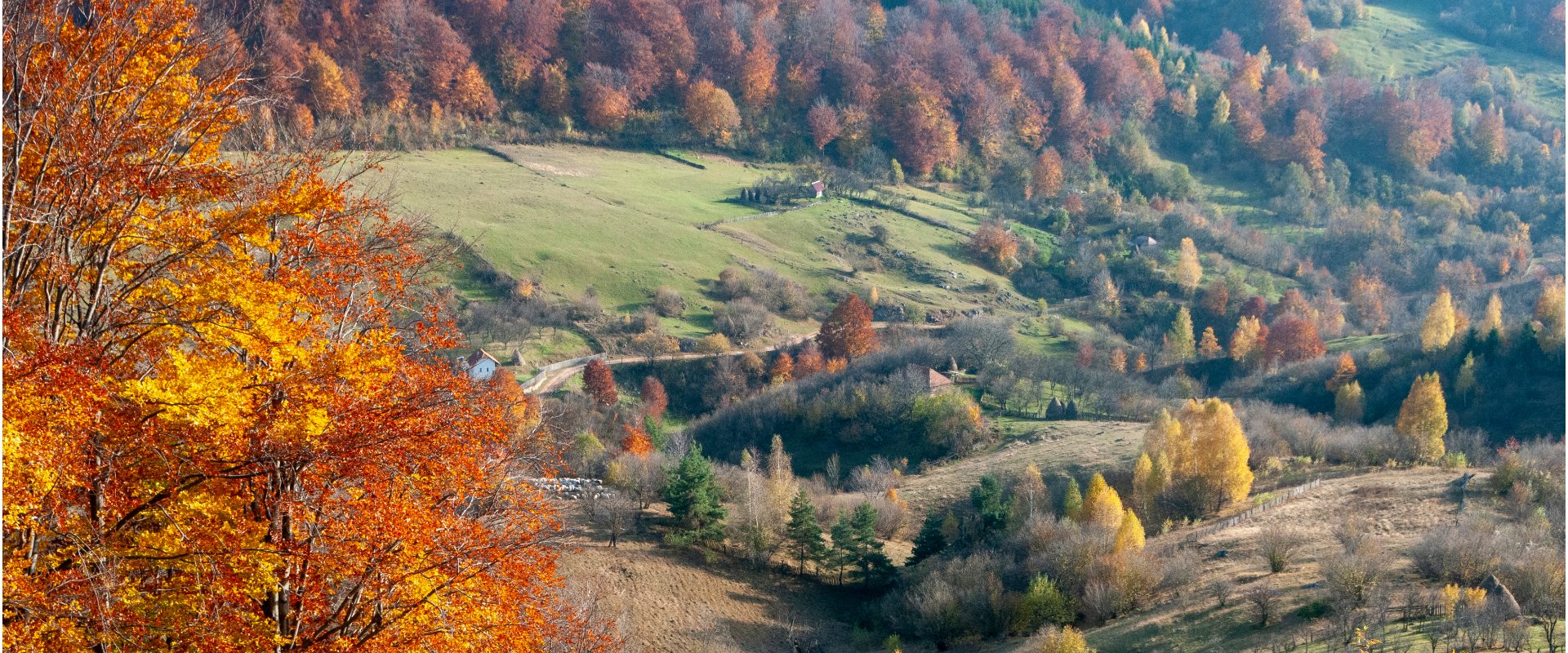 Guvernul simplifică accesul la Geoparcurile UNESCO din România
