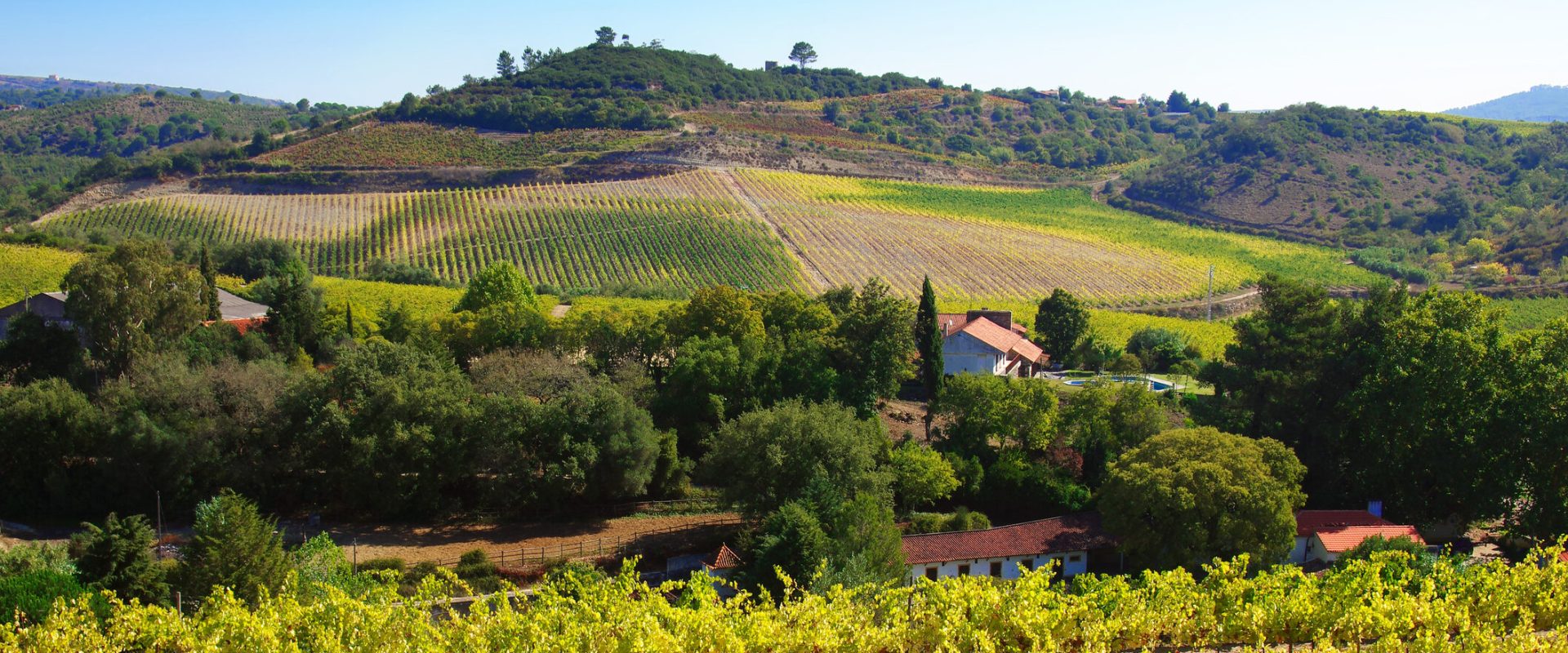 Legea care vrea să-ți ia pământul. UE, alertată de abuzul statului român