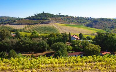 Legea care vrea să-ți ia pământul. UE, alertată de abuzul statului român