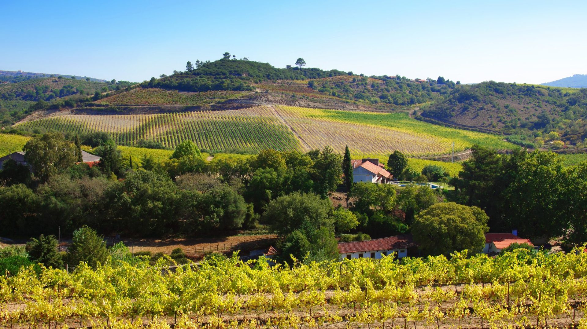 Unsprezece ONG-uri cer intervenția Comisiei Europene în privința legii exproprierilor miniere Un grup de 60 de organizații neguvernamentale din România a adresat o scrisoare oficială către președintele Comisiei Europene, doamna Ursula von der Leyen, și către Viviane d’Udekem d’Acoz, Secretarul General Adjunct al instituției