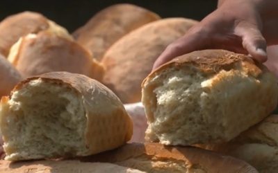 Banatul, Regiune Gastronomică Europeană în 2028: Victorie Istorică