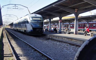 București: Haos pe șine. Trenurile blocate, după ce un copac a pus stop