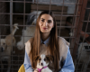 Scandalul „abatoarelor de câini”, dezvăluit recent de Buletin de București, scoate la iveală probleme profunde în modul în care sunt gestionate animalele fără stăpân