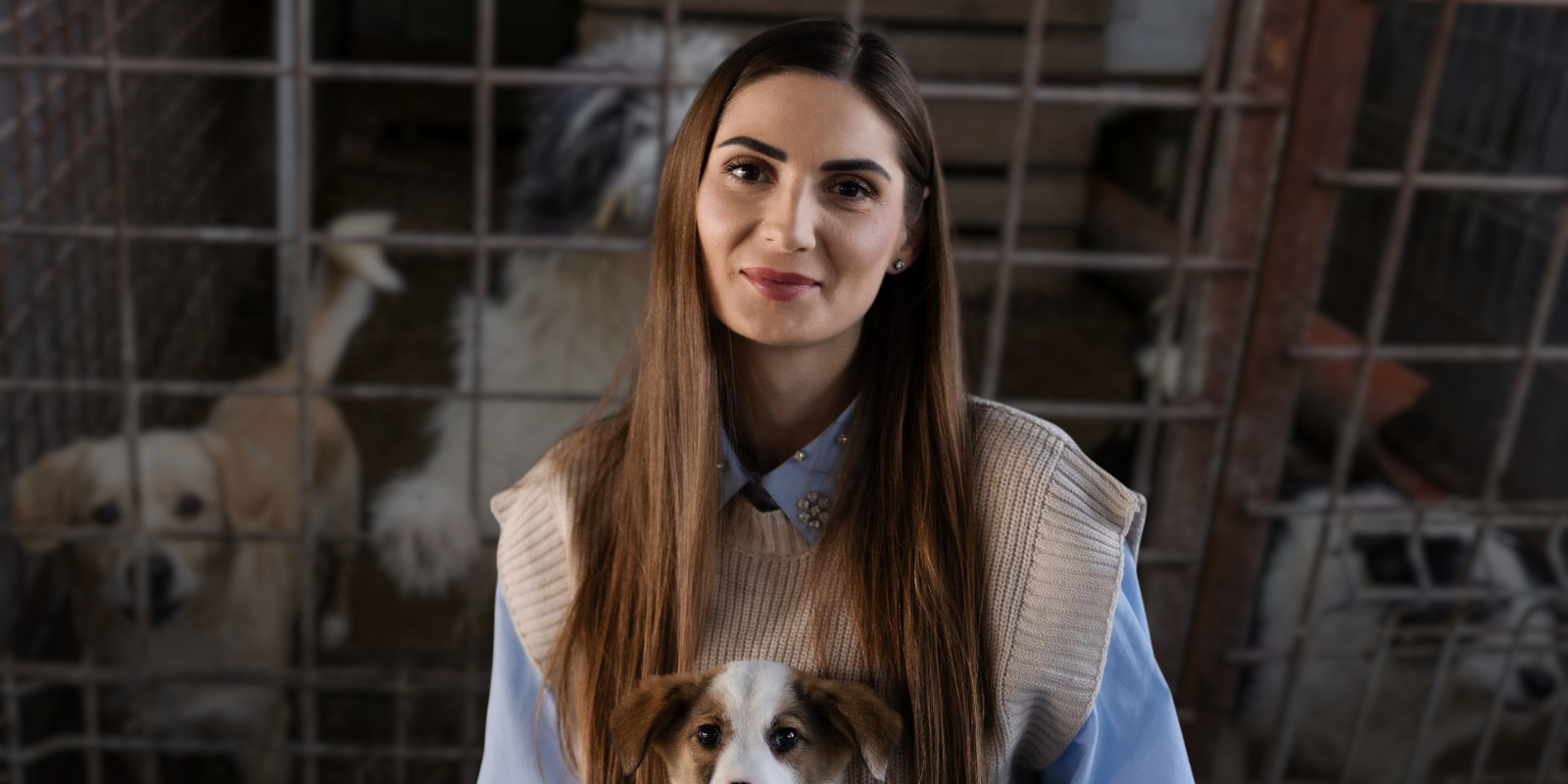 Scandalul „abatoarelor de câini”, dezvăluit recent de Buletin de București, scoate la iveală probleme profunde în modul în care sunt gestionate animalele fără stăpân