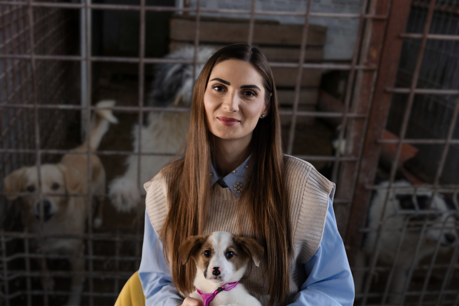Scandalul „abatoarelor de câini”, dezvăluit recent de Buletin de București, scoate la iveală probleme profunde în modul în care sunt gestionate animalele fără stăpân