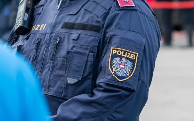 Poliția din Viena a reținut o bandă de escroci formată aproape în totalitate din români