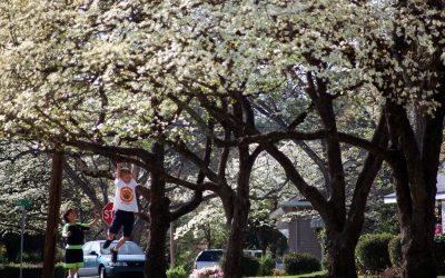 Easter weather forecast in Fayetteville