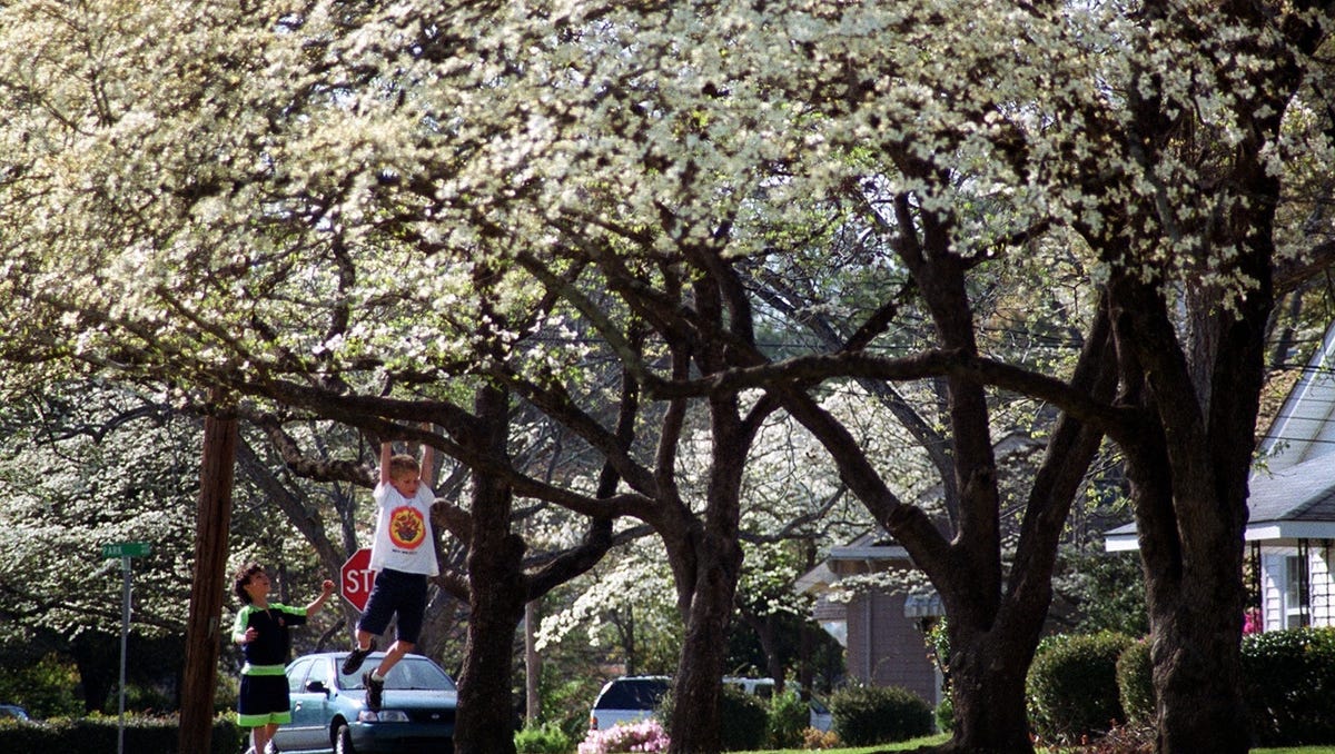 Easter weather forecast in Fayetteville