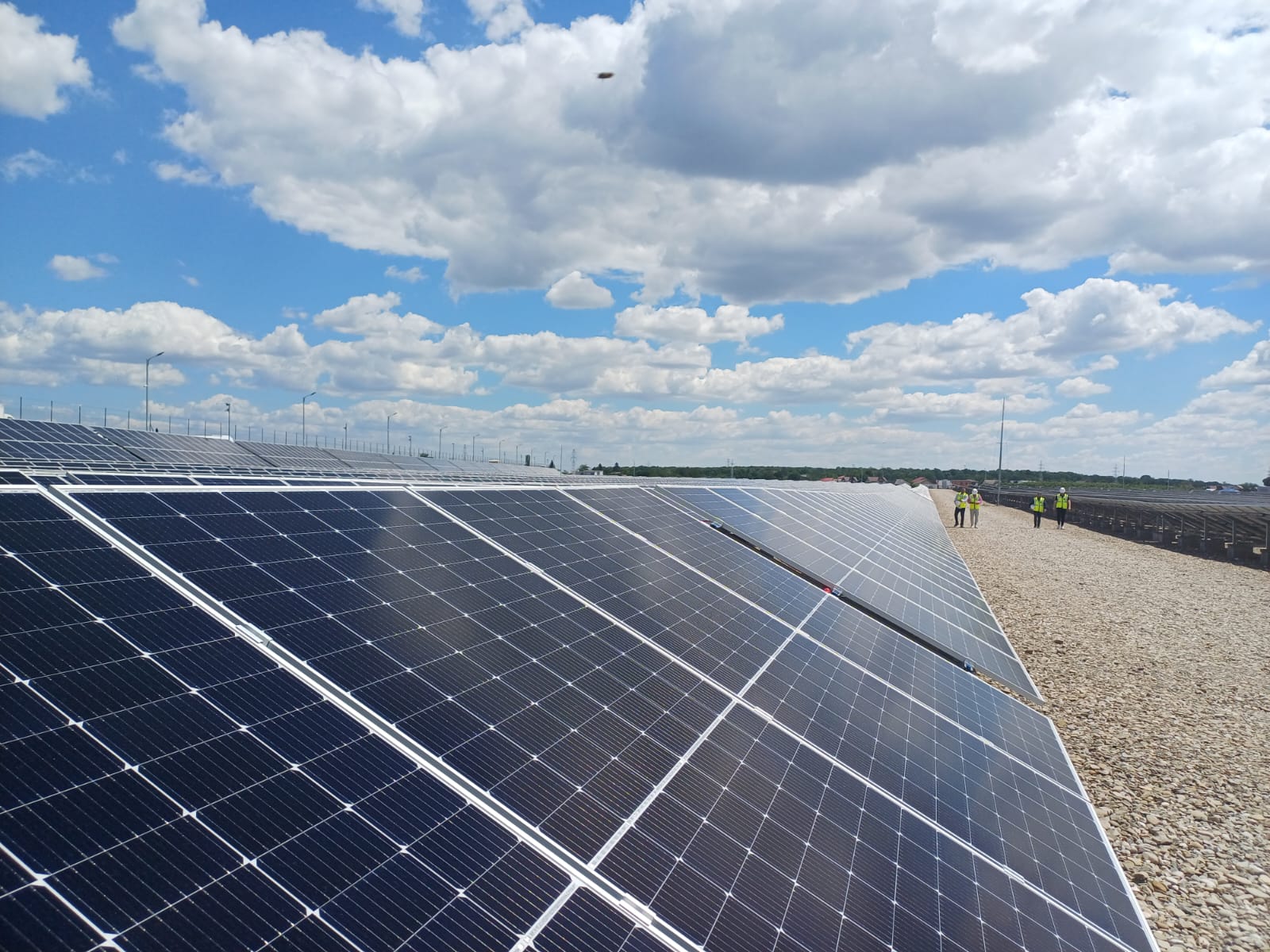 Băieții deștepți din energie scot la vânzare parcuri solare pe OLX