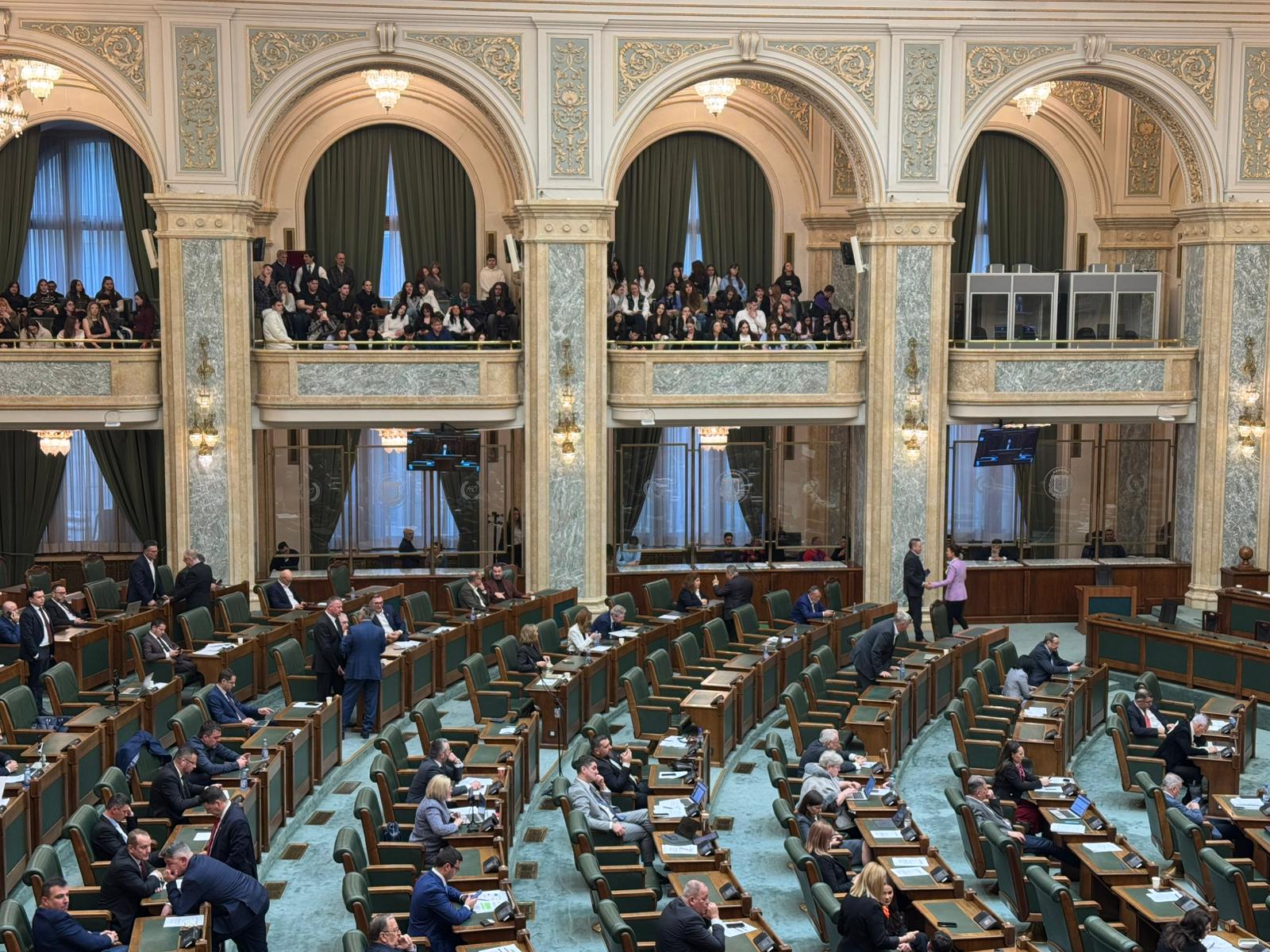 Haos la Senat: Votul pe alcool la stadioane a scos parlamentarii din minți