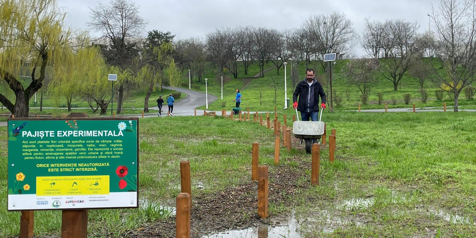 În inima Parcului Tineretului, o mână de voluntari a sfidat prognoza meteo sumbră pentru a transforma două terenuri modeste în „pajiști urbane”, o inițiativă menită să îmbunătățească viața locuitorilor și a faunei