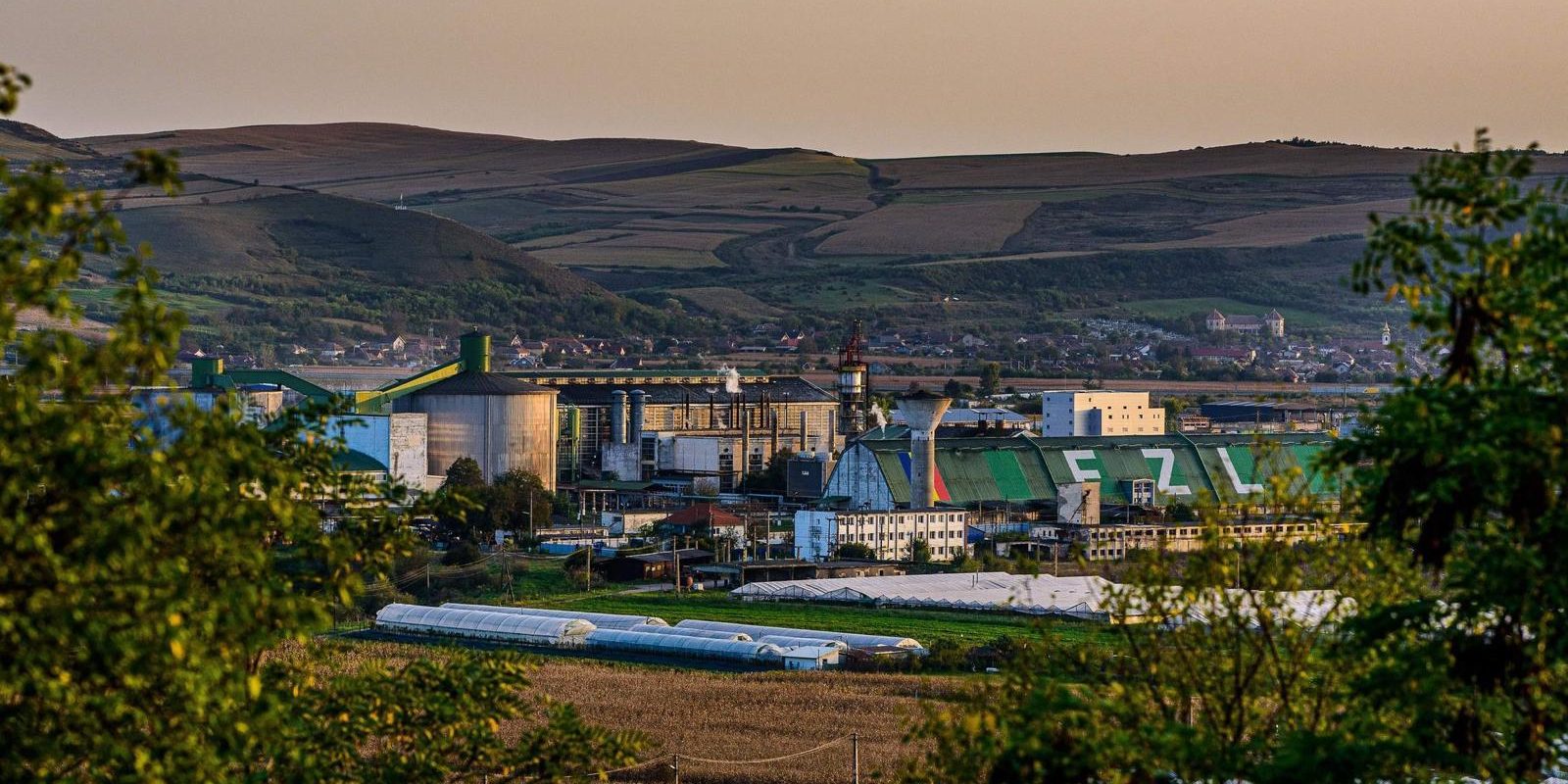 Afacerile lui Zahăr Luduș pe 2023: Ce succes a avut fabrica românească?