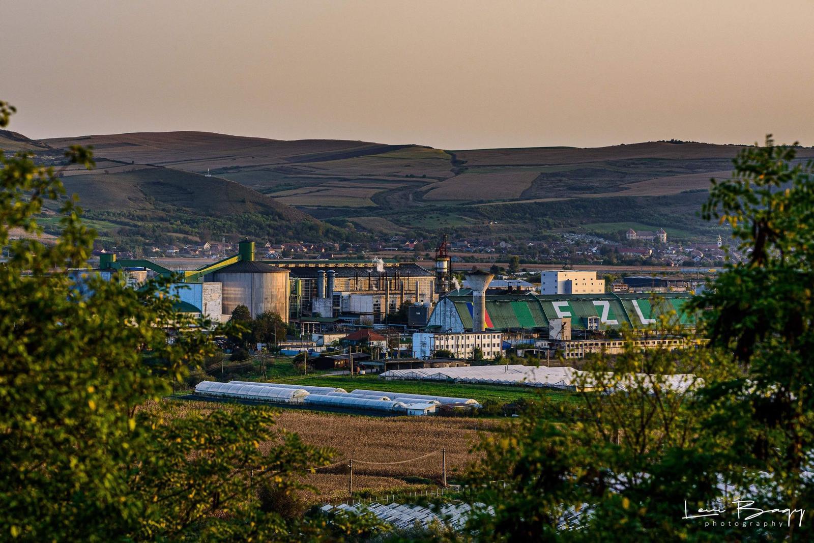 Afacerile lui Zahăr Luduș pe 2023: Ce succes a avut fabrica românească?