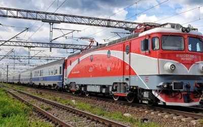 Blocaj feroviar între Brașov și Sighișoara: Un copac a pus trenurile pe STOP